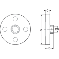 BSP threaded PPGF DIN* flange