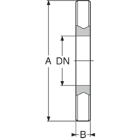 Steel reinforced PPGF ANSI* stub flange