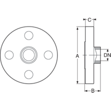 BSP threaded PPGF DIN* flange