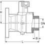 IBC's PE-HD ball valve, BSP threaded outlet, DIN* flange